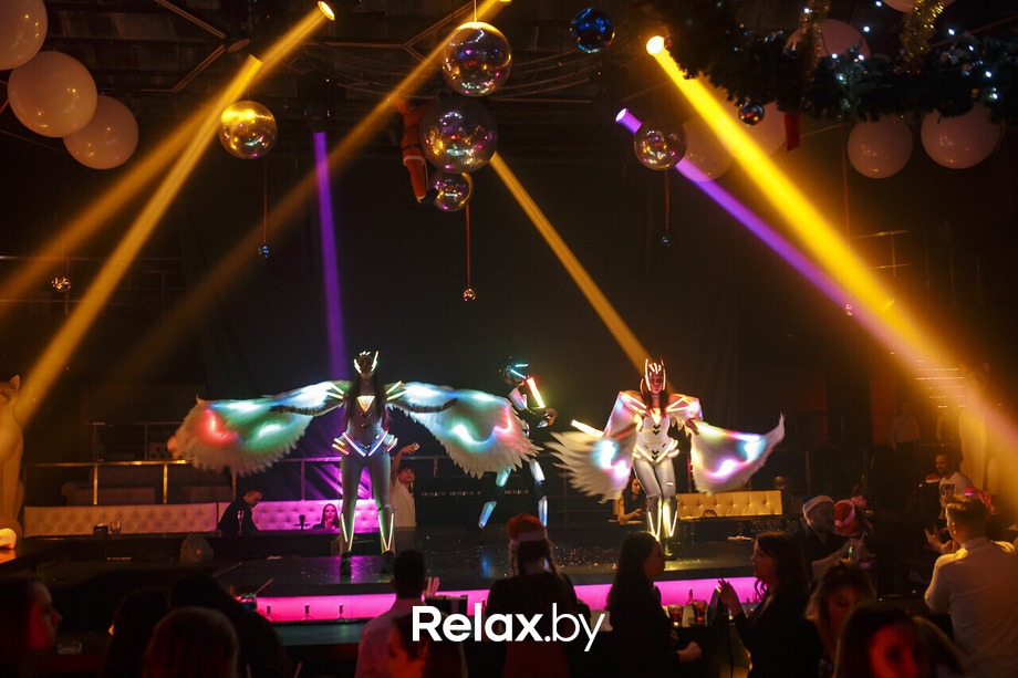 Новый год Rich Cat, фото № 43