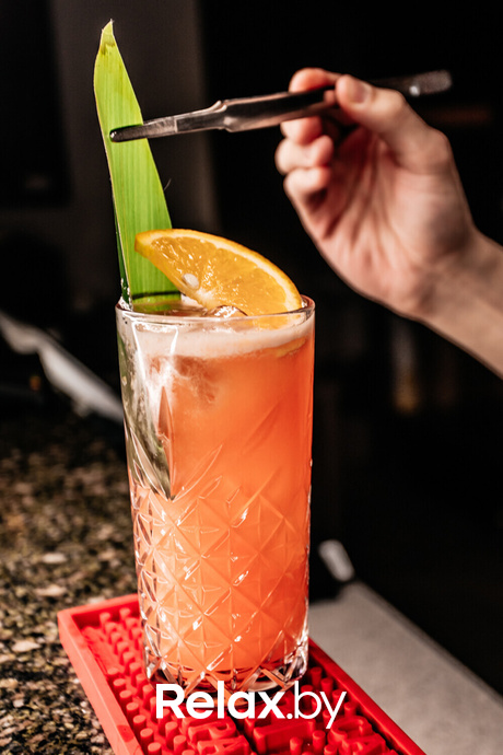 Terra Karaoke, фото № 31