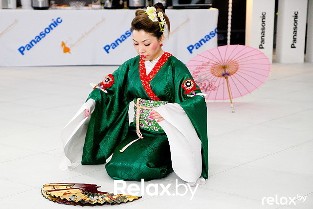 Презентация Panasonic, фото № 93