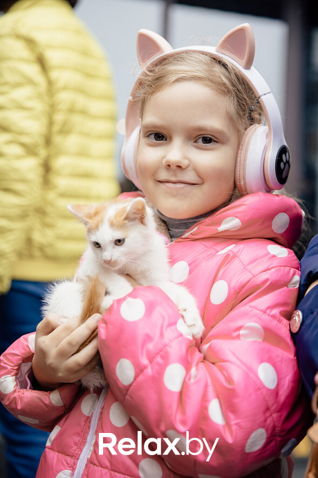 Благотворительная акция пушистого добра, фото № 38