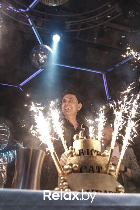 Rich Cat 6 лет, фото № 36