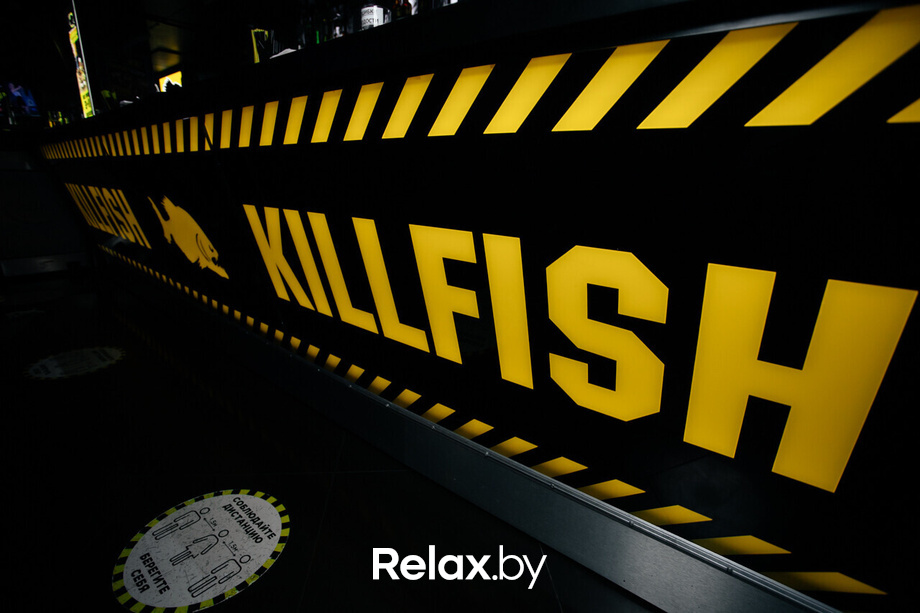 Шуфутинов день, фото № 36