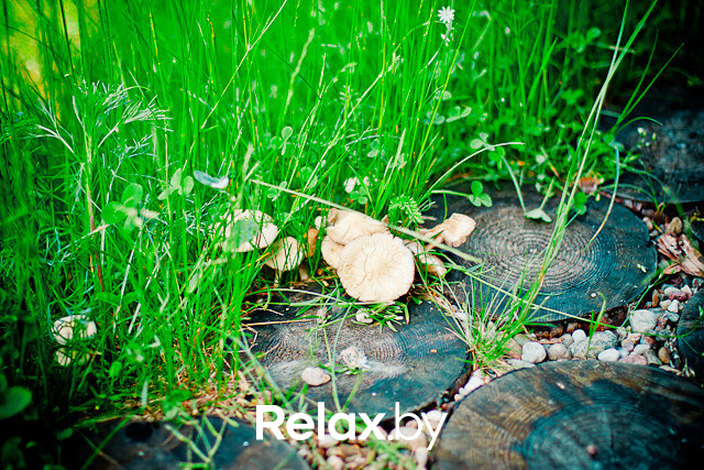 Экспедиция презентация Пикник-отеля, фото № 91