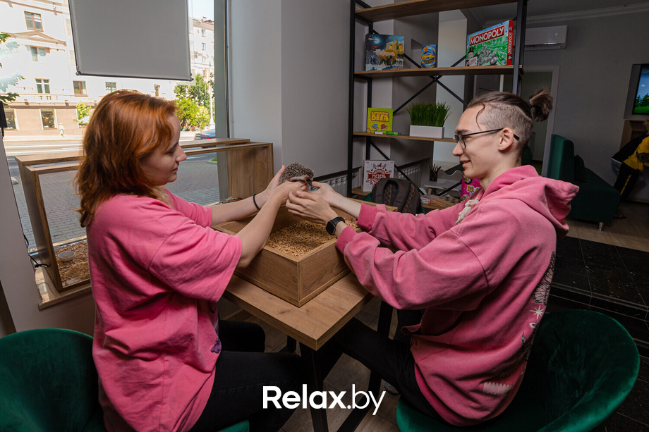 Открытие антикафе «Ёж кафе», фото № 68