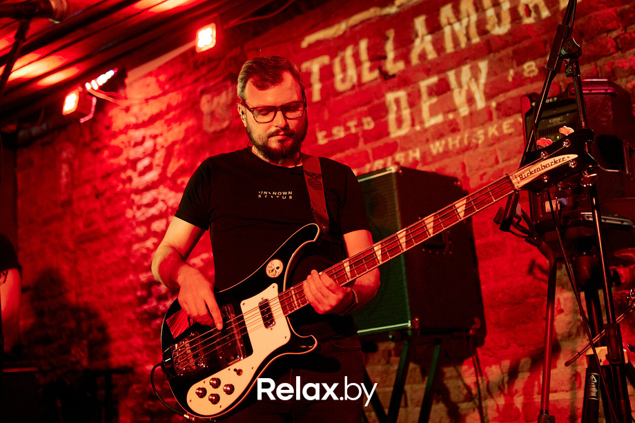 Tullamore St.Patrick's Day, фото № 7