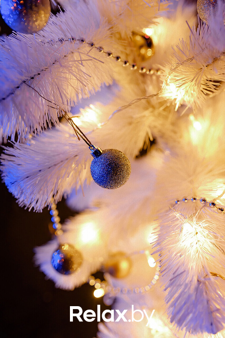 Предновогодние пятницы в Max Show, фото № 25