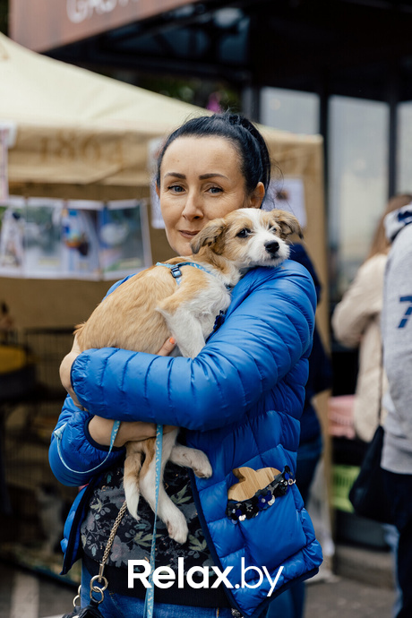 Благотворительная акция пушистого добра, фото № 46