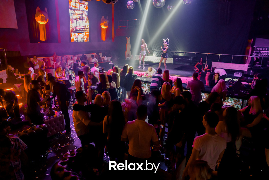 Rich Cat friday, фото № 81