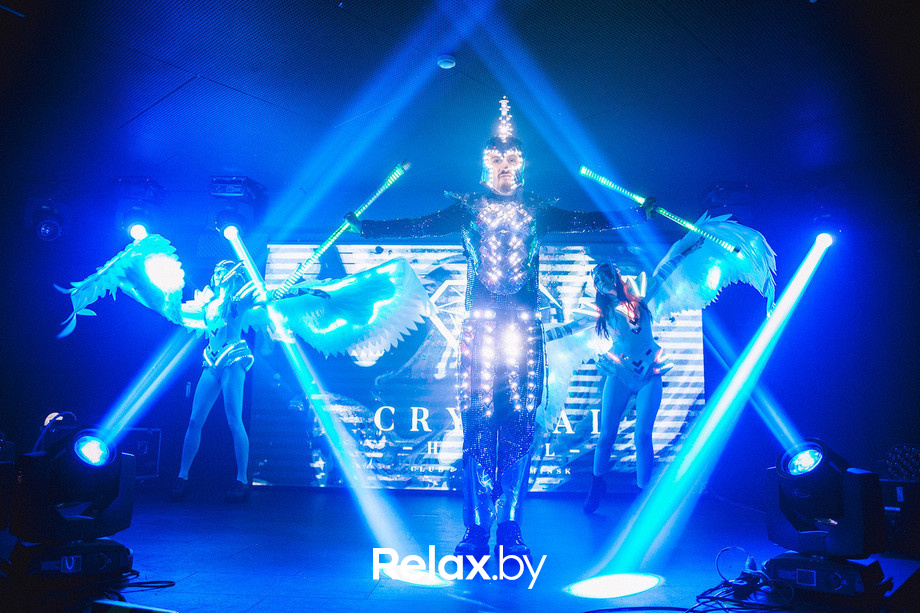 Birds show, фото № 53