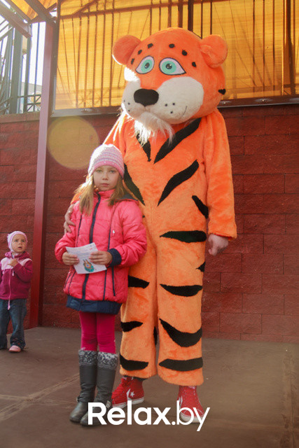 Акция ко Дню защиты животных, фото № 166