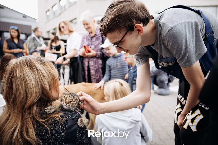 Акция Пушистого Добра, фото № 105