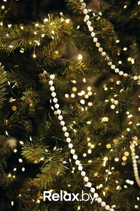 Отдыхаем Броварно, фото № 3