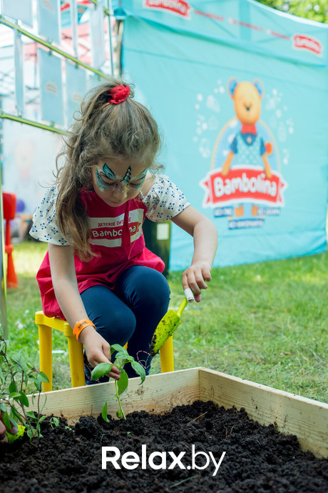 Букидс. Профессии, фото № 27