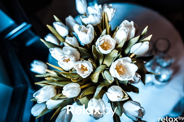 Закрытый дегустационный вечер винного дома Soto del Vicario, фото № 59