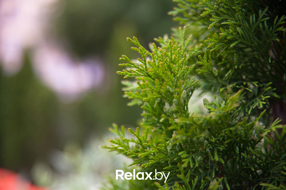 Пятница на La Terazza, фото № 22