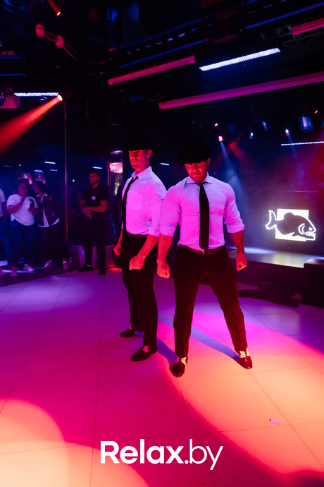 Шуфутинов день, фото № 2