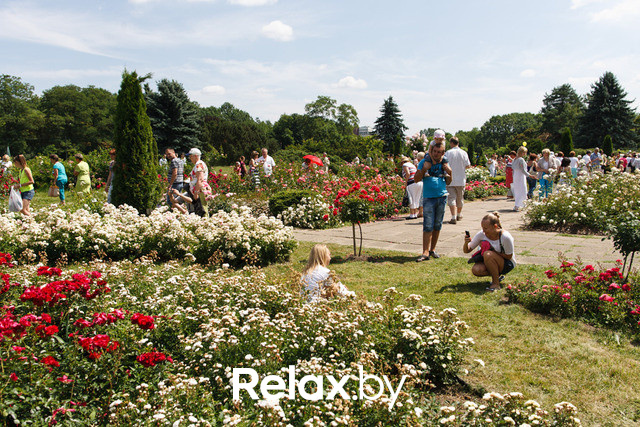 Фестиваль роз, фото № 25