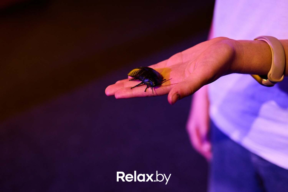 Игра на площадке «Игра в кальмара», фото № 182