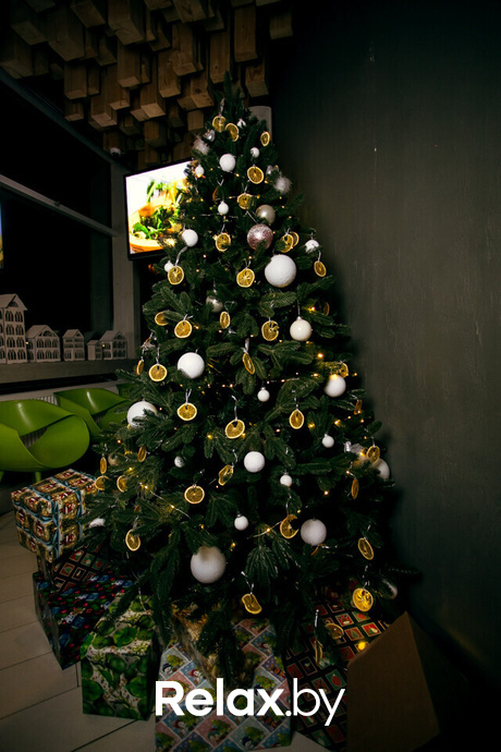 Новогодние вечера в Terra Club, фото № 45