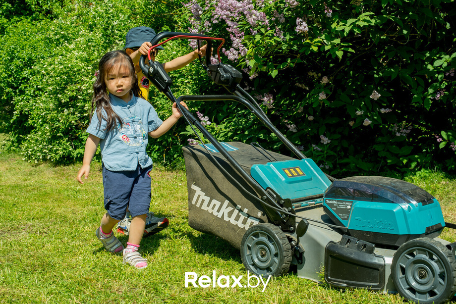 Букидс. Профессии, фото № 3