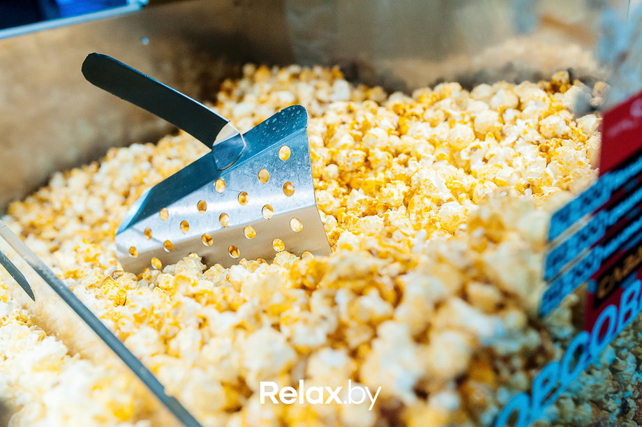 Презентация фильма «Мобильник», фото № 39