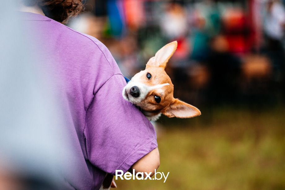 Viva Braslav Open Air, фото № 6