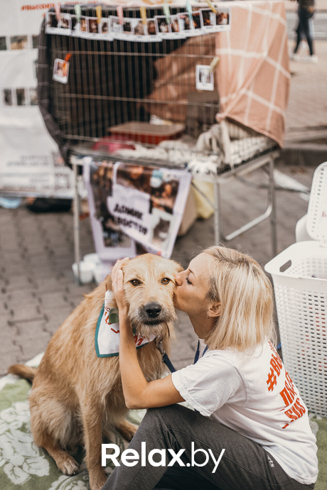 Акция Пушистого Добра, фото № 158