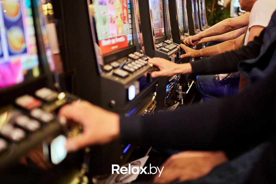 Шоу Пекинская капуста, фото № 14