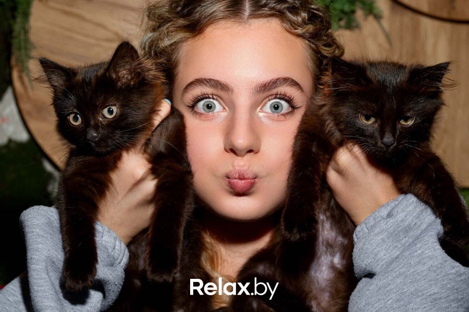 Акция пушистого добра, фото № 12