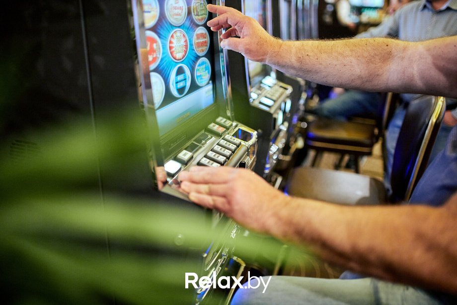 Пекинская капуста, фото № 10