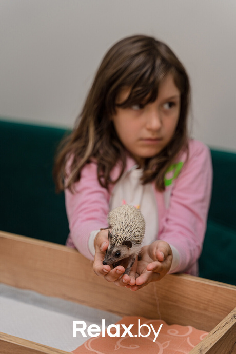 Открытие антикафе «Ёж кафе», фото № 38