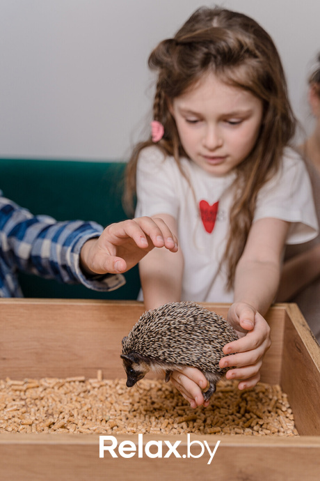 Открытие антикафе «Ёж кафе», фото № 20