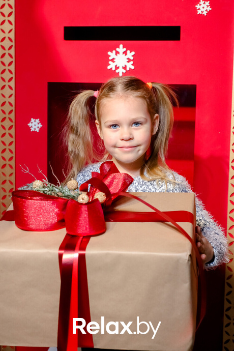 Резиденция Деда Мороза в Galileo, фото № 8