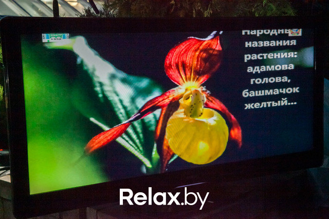 Благотворительный раут, фото № 130