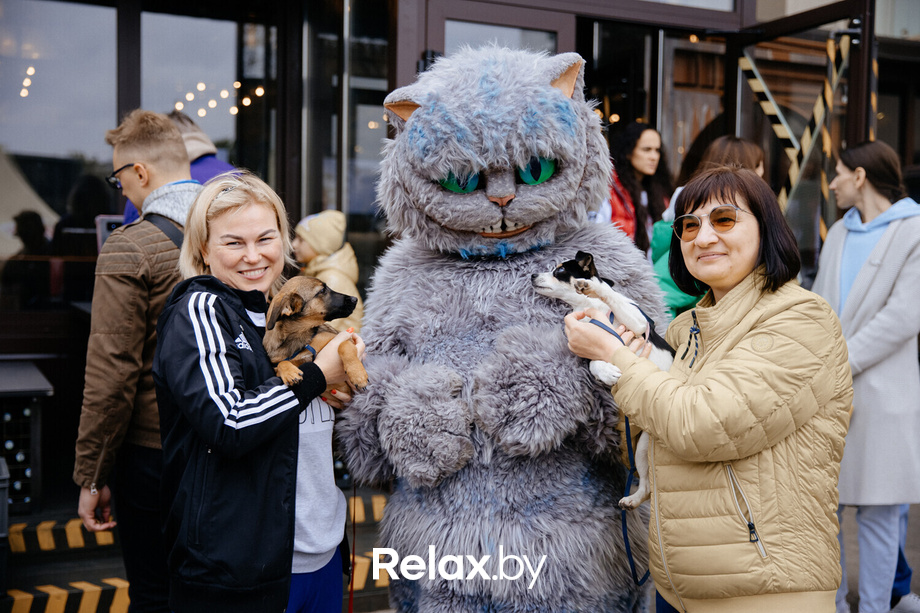 Благотворительная акция пушистого добра, фото № 131