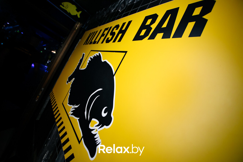 Welcome February, фото № 3