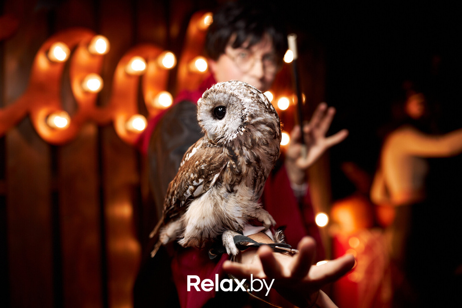 Halloween, фото № 119