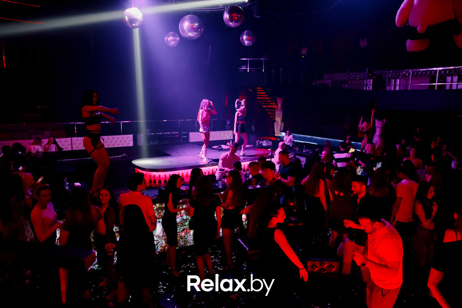 Rich Cat friday, фото № 78