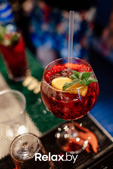 Terra Party, фото № 10