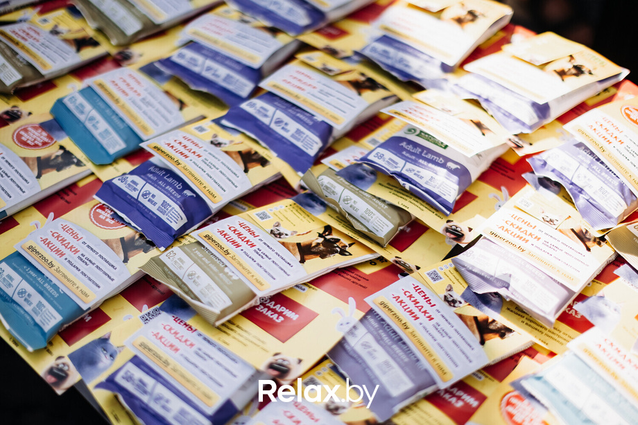 Акция Пушистого Добра, фото № 28