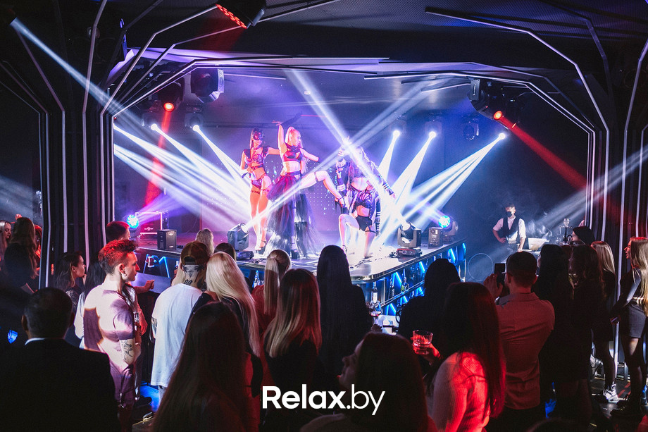 Birds show, фото № 28