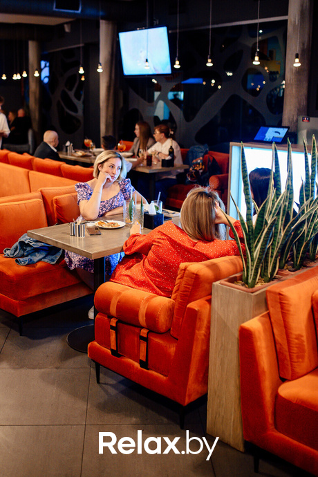 Terra Party, фото № 5