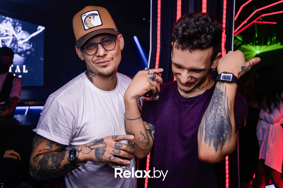 Birds show, фото № 52