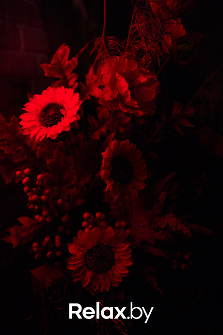 Ночь караоке, фото № 30