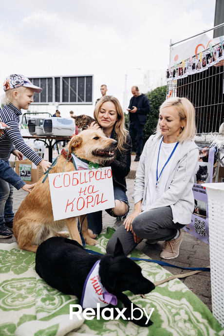 Акция Пушистого Добра, фото № 101