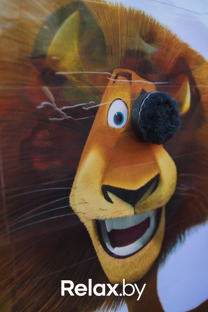 Акция ко Дню защиты животных, фото № 121