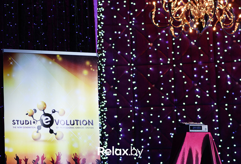 Караоке Бизнес-Баттл. 1 этап, фото № 4