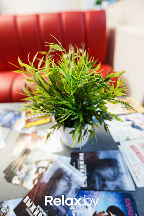 Презентация кинопремьер 2016 от Интерфильм Дистрибьюшн, фото № 6