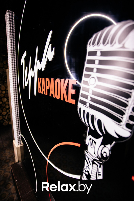 Terra Karaoke, фото № 41