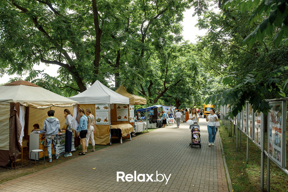 MY WAY, фото № 14